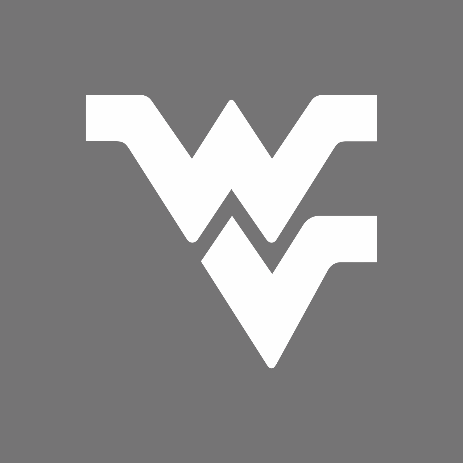 West Virginia Mountaineers 1980-Pres White Alternate Logo v5 iron on transfers for clothing